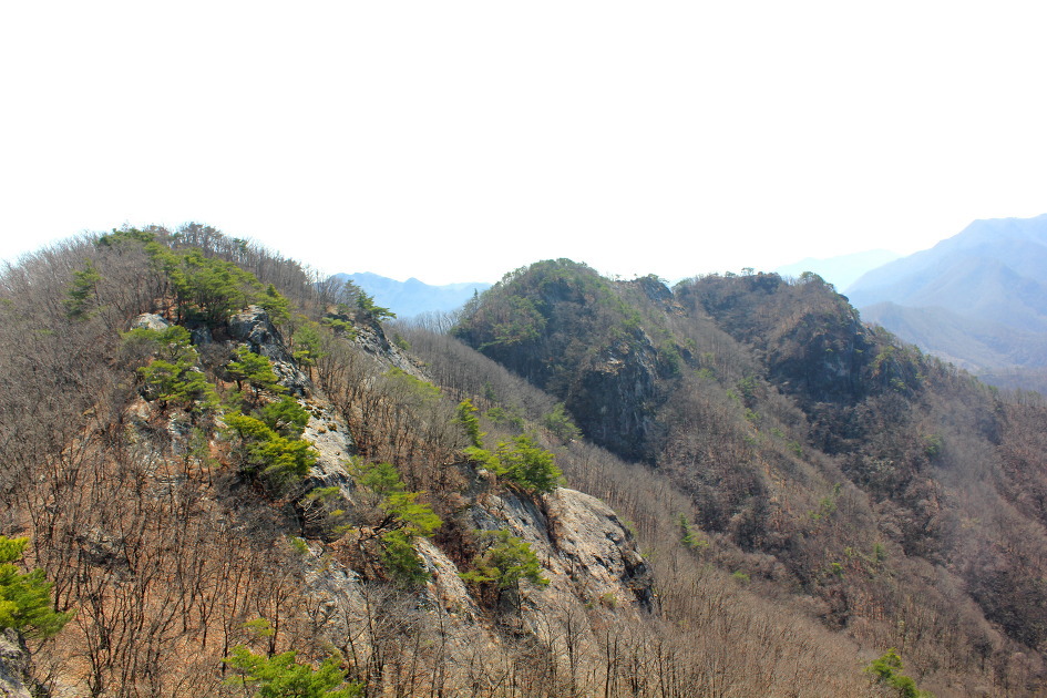 대부산 정상 이미지