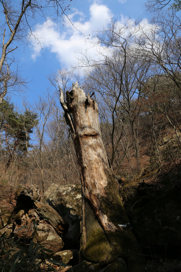 속리산(도화리/천왕봉/석문/비로봉/신선대/문수봉/문장대/세심정/법주사)