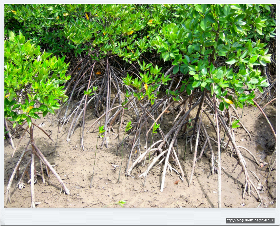 인도네시아 바탐