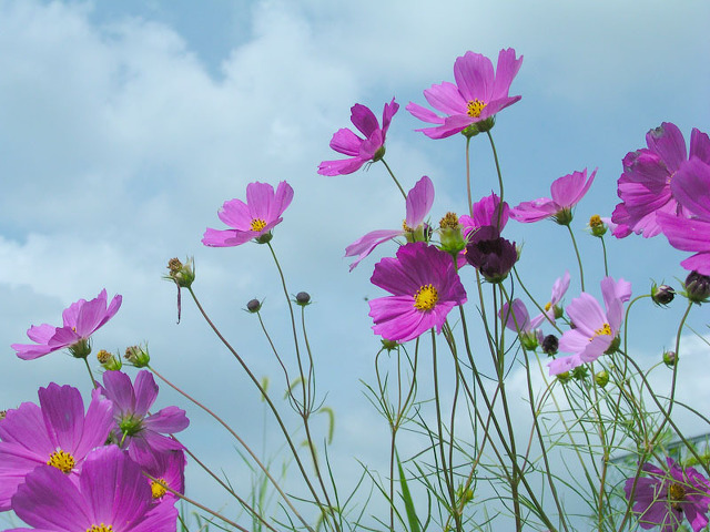 3가지를 할 수 있다면 청춘이다