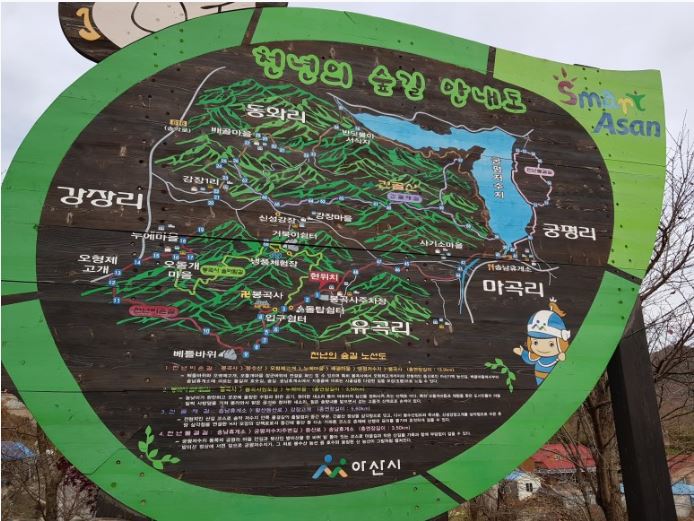 천년숲 이미지