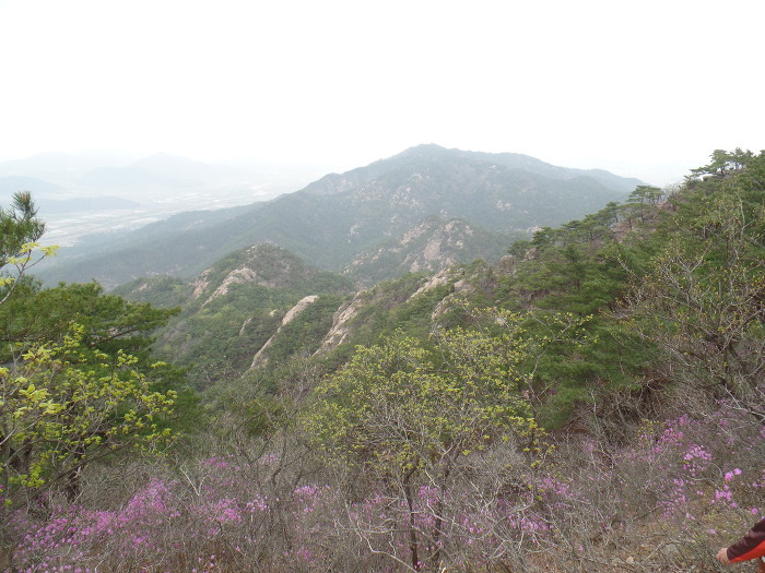 1045- 慶州 南山 고위봉(高位峯:494m)을 다녀왔어요.