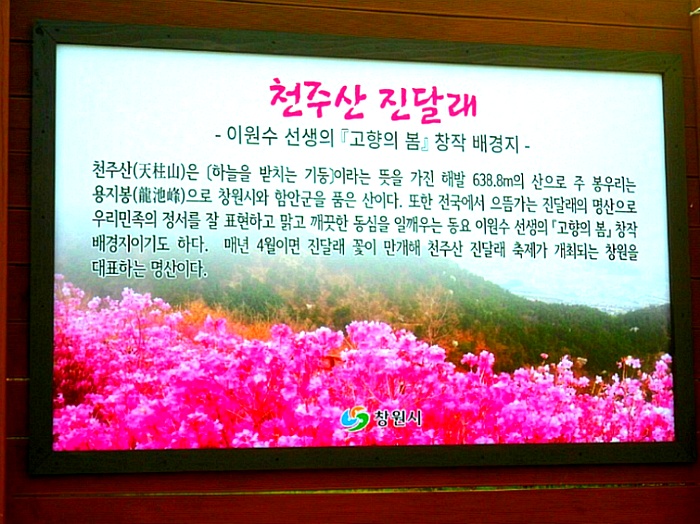 **천주산,천마산