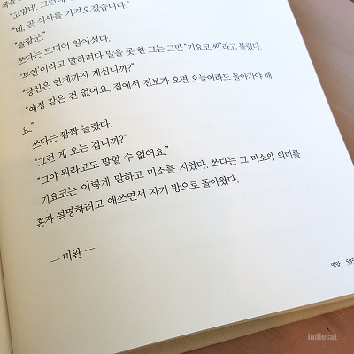 나쓰메 소세키 장편 소설 『명암(明暗)』