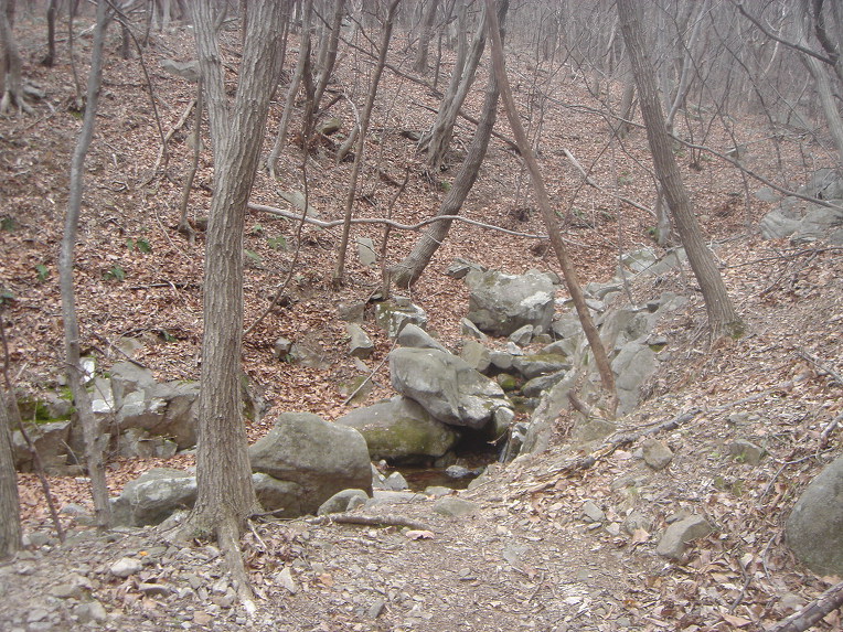 4월1주/산냥이 소식/19