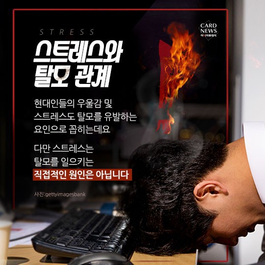[카드뉴스] “소중한 머리카락 왜 자꾸 빠질까?”... 탈모 원인 및 치료법? 