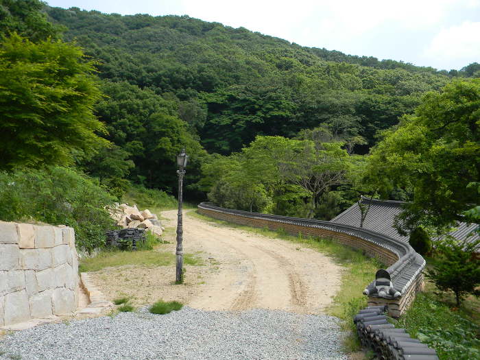 함평 모악산 용천사 (대웅전, 꽃무릇)