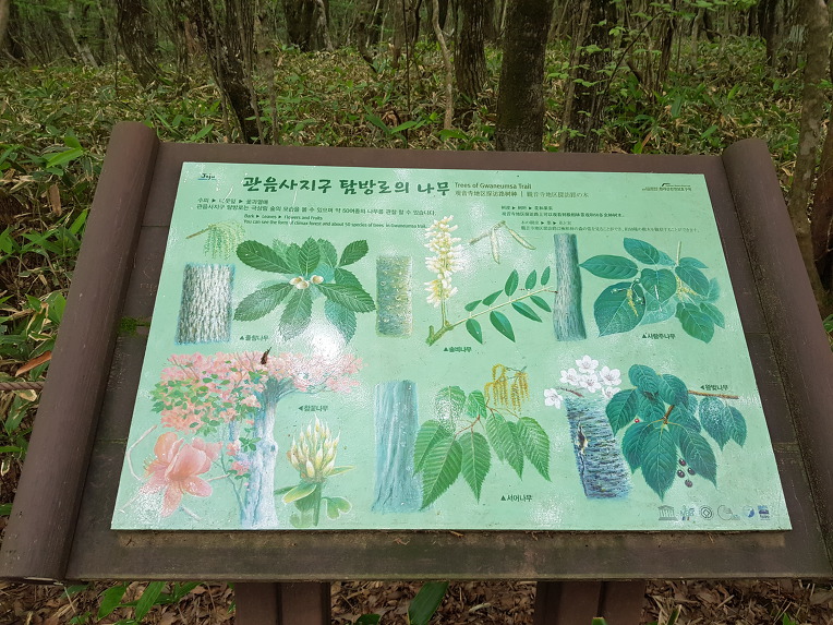 한라산 백록담에서 관음사로 하산길