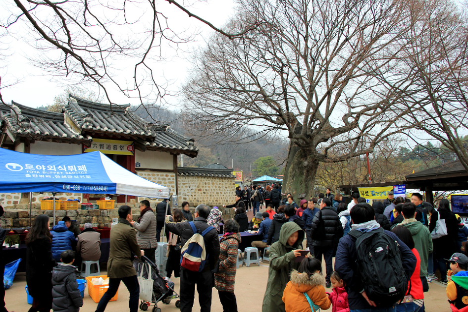 이천 원적산 산수유 산행 (2019.3.31)