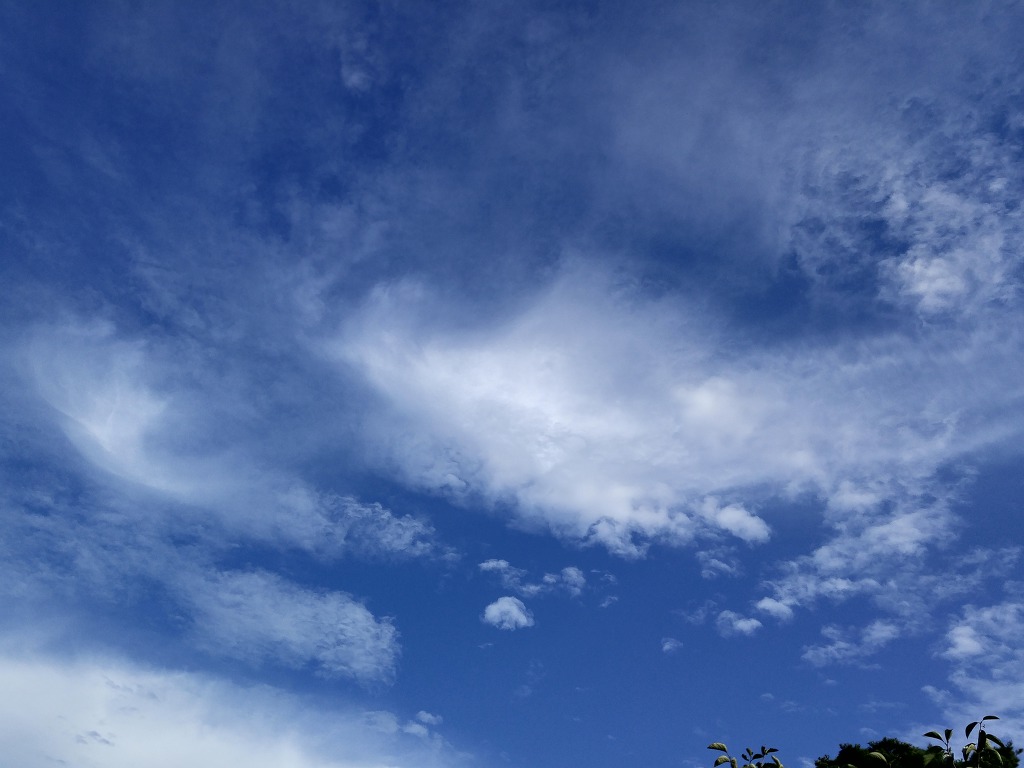 산기슭 농원 지키미