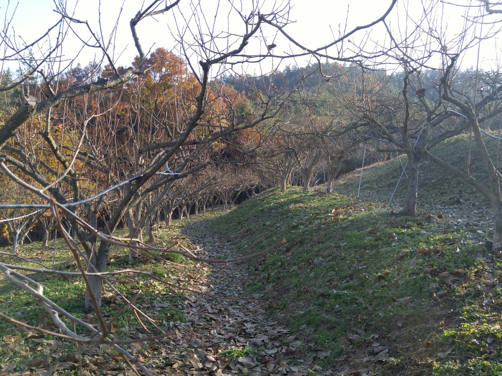 겨울을 기다리는 산기슭 농원