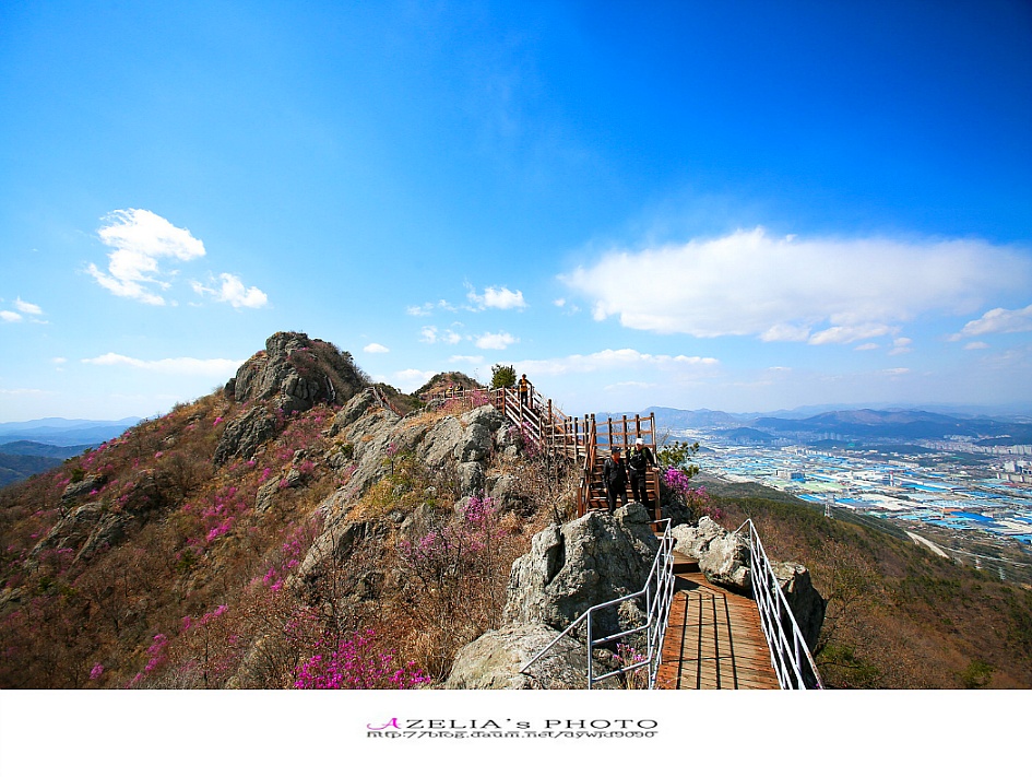 경남 진해 산행(1부)/장복산(덕주봉)&산벚꽃.진달래 핀 멋진 능선길을 따라서 .. 【19년3월31일】 