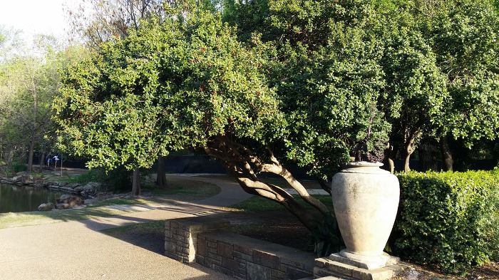 FORT WORTH - BOTANIC GARDEN / 식물원