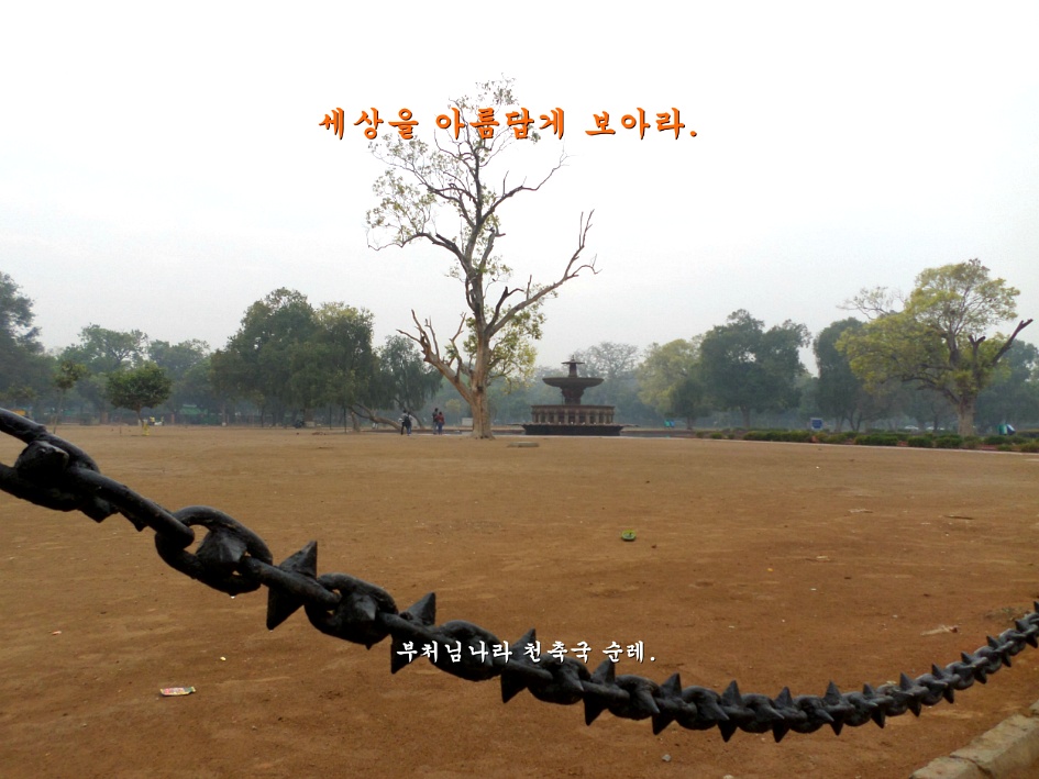 부처님의 나라 천축국. 델리 인도문 국립박물관.