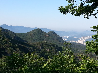 [하루 한문장]