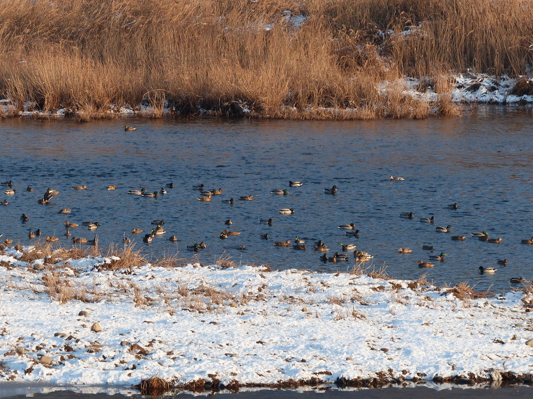 996582495DF70119046BE8