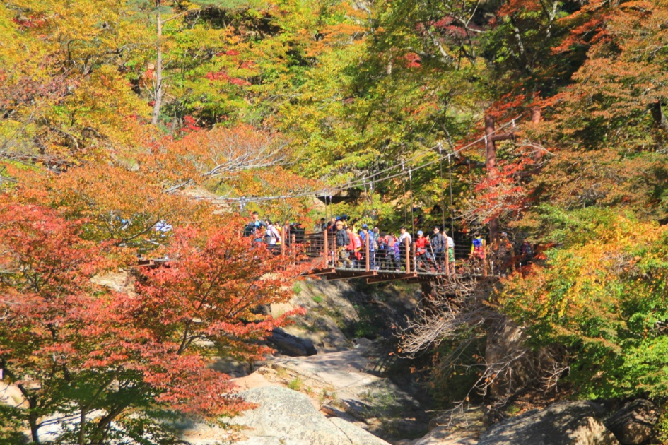 설악산 내설악 만경대 산행 / 201281013(토)