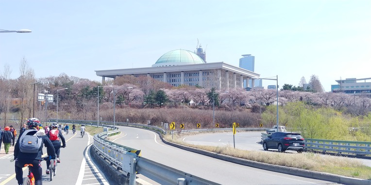 여의도 벗꽃 라이딩