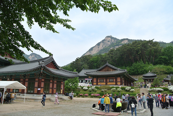 원본이미지(클릭)