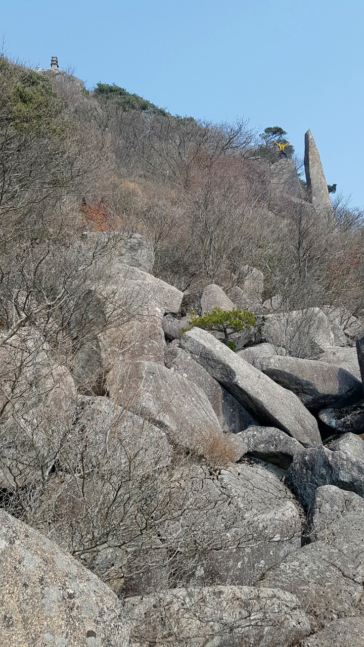 비슬산(琵瑟山) 암괴류((岩塊流) 트레킹