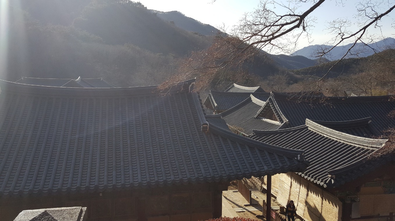 3보종찰 순례(구룡사 거사림회)