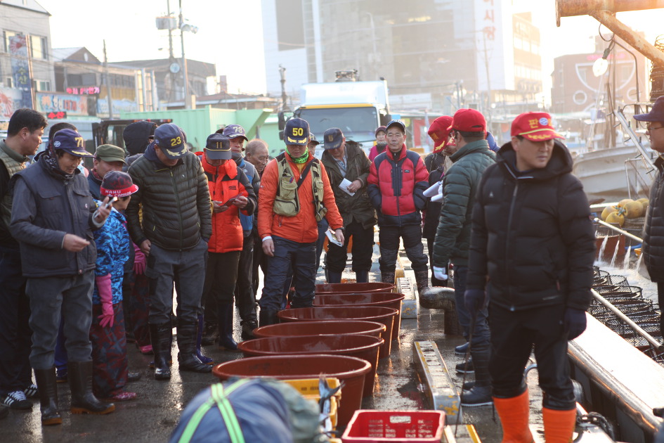 강구항