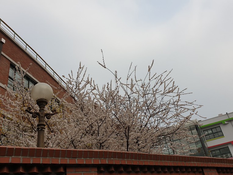 아현1구역(아현1동) 정비계획지정및용역계약완료했네여!