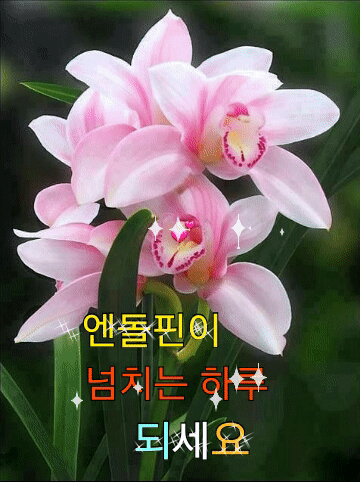 단 한 번뿐인 인생 값지고 즐겁게 살자  