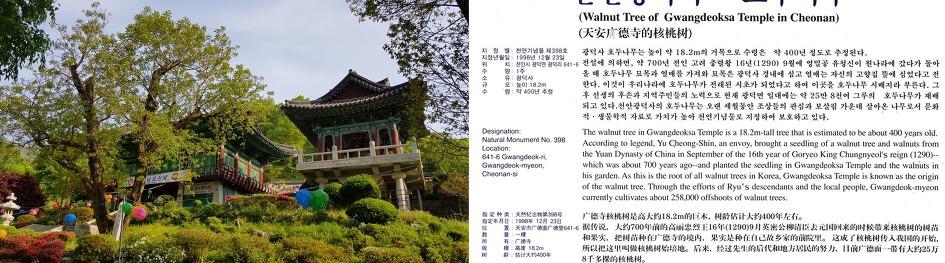 광덕산. 천안 광덕산. 천안 광덕산 등산지도. 천안 광덕산 등산코스