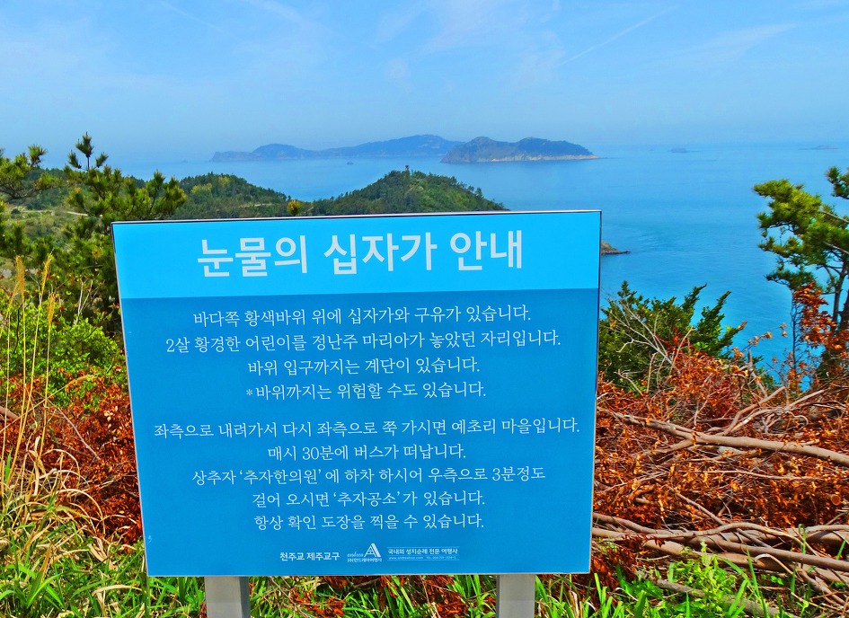추자도 사모곡