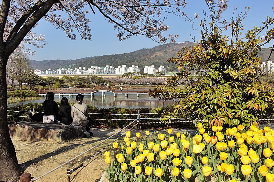 ♣♬ 김해시 연지공원 돌아보기[20190404]♪♣