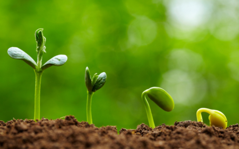 99BAF4415C5C0F9F371DF4