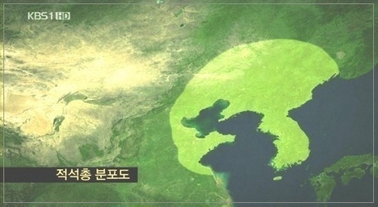 99BC444F5CCC3C0E0F5ECF