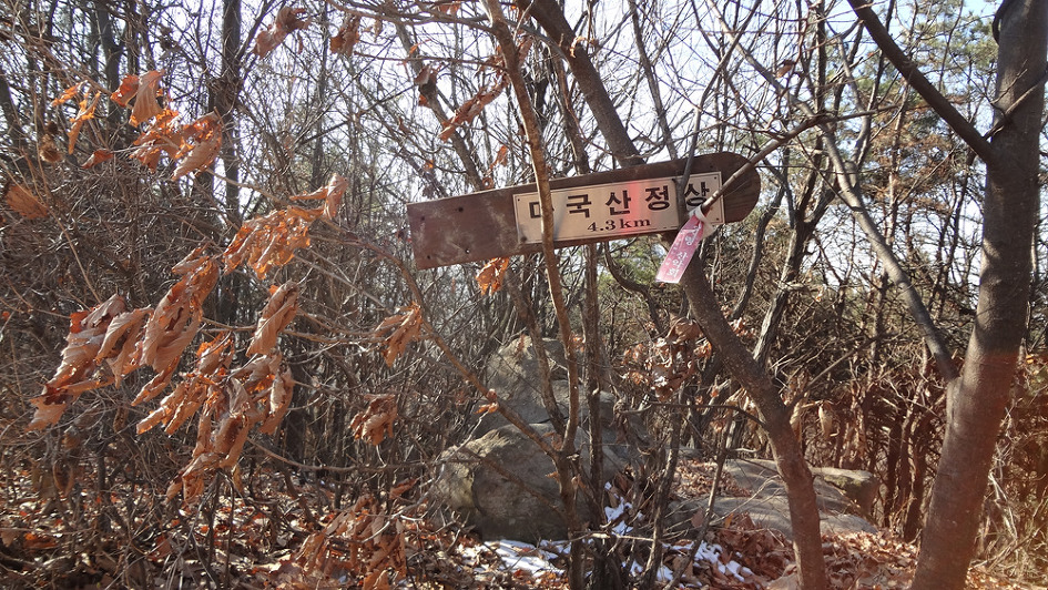 마국산 정상 이미지