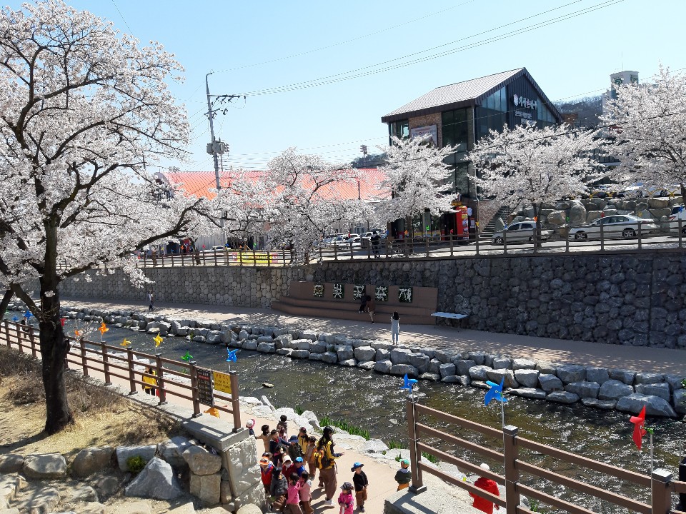 ''오셨군요 봄님''