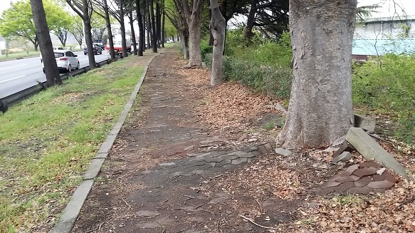 하늘이 뭉게저도 뚤불 구믱잉 인는지 자양구 댕기믱 호박씨나 숭구고.