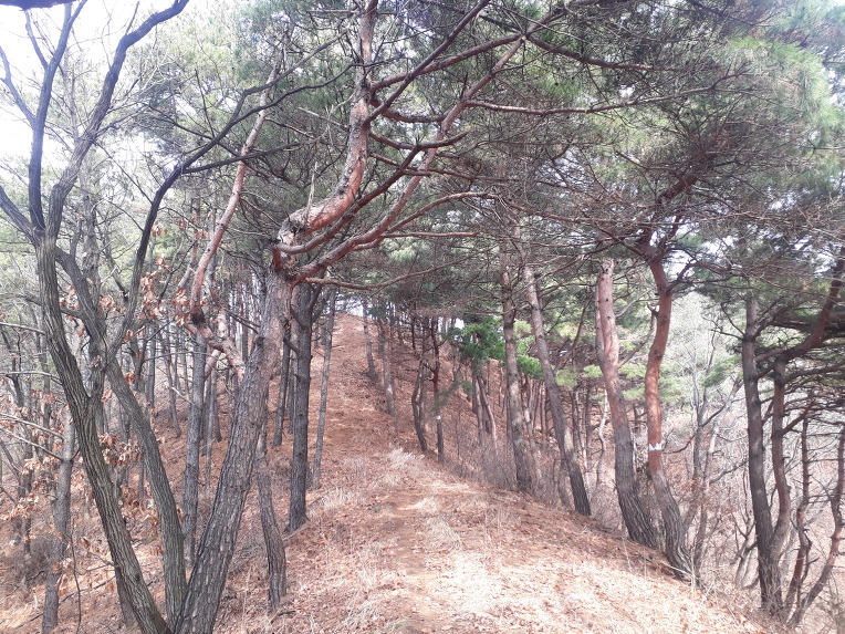 국민은행연수원 이미지