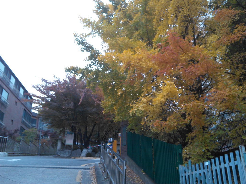 17.11.13(月)