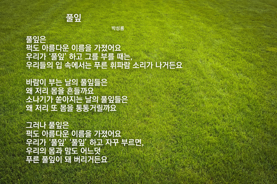 풀잎