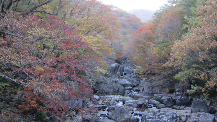 지리산 피아골 단풍 산행기