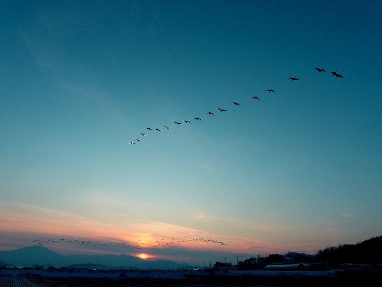 99E8E7465DF7023205441B