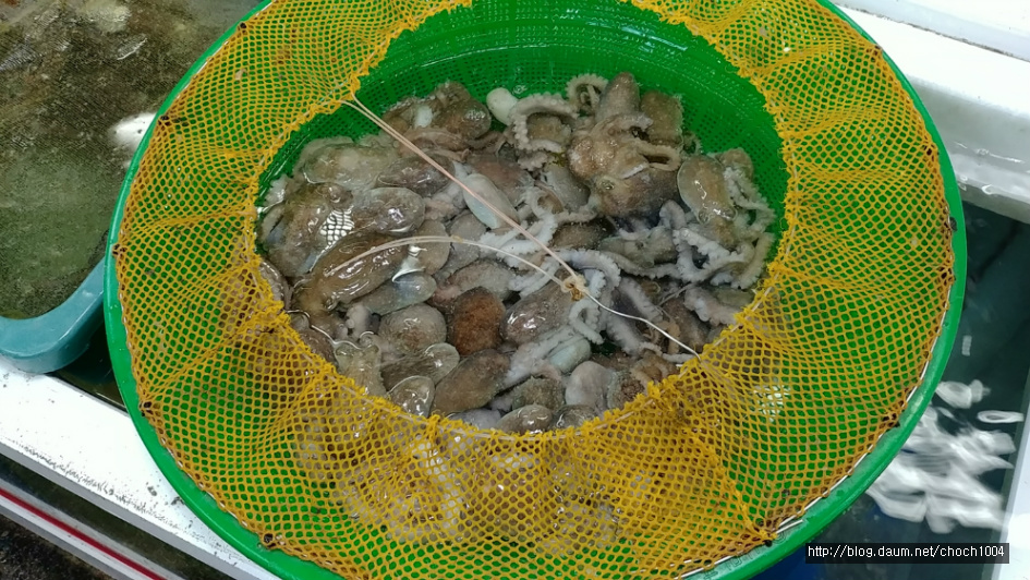 천하 일미, 붉은 빛깔 감도는 서더리 생선매운탕