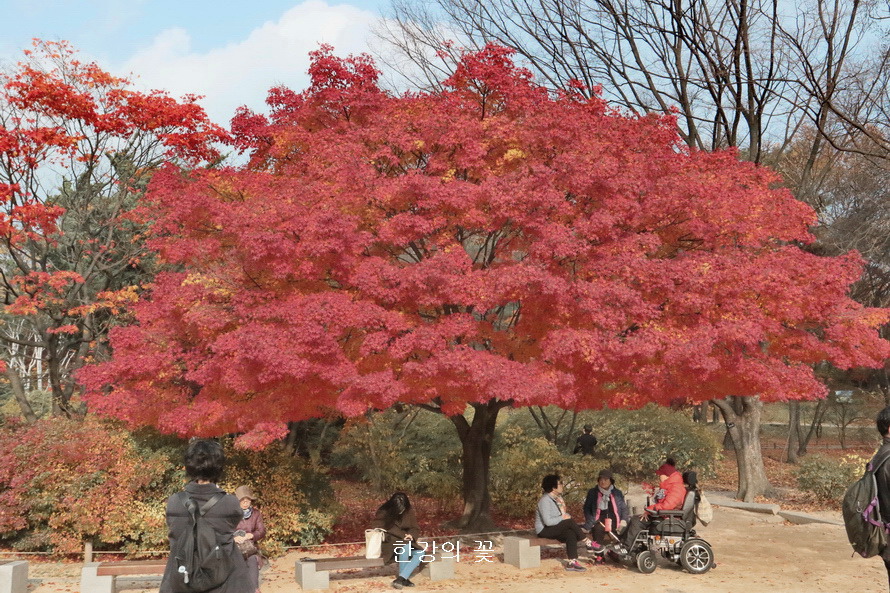 창경궁의 가을색