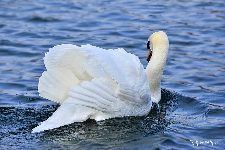 미소 짓는 하루