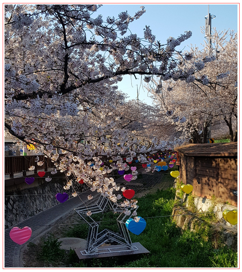 진해 내수면생태공원의 봄